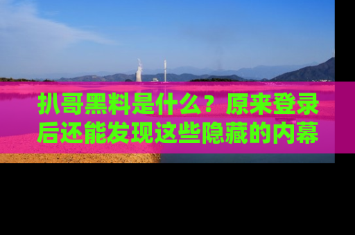 扒哥黑料是什么？原来登录后还能发现这些隐藏的内幕！