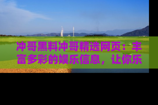 冲哥黑料冲哥精选网页：丰富多彩的娱乐信息，让你乐不停息