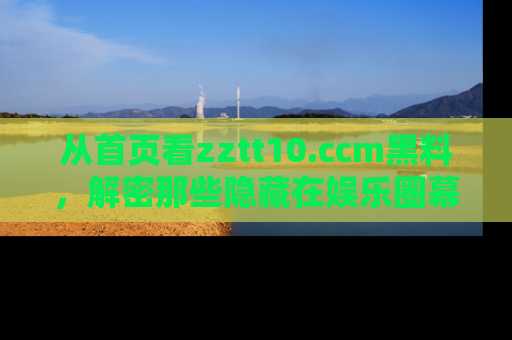 从首页看zztt10.ccm黑料，解密那些隐藏在娱乐圈幕后的丑闻故事！