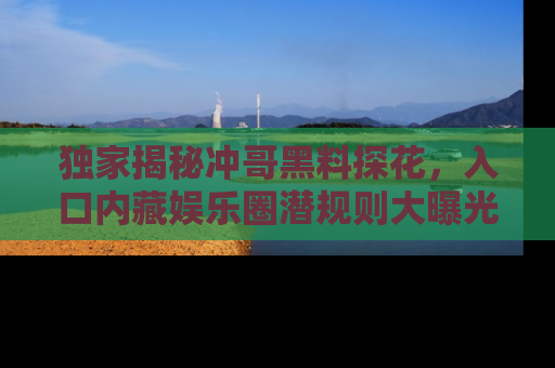 独家揭秘冲哥黑料探花，入口内藏娱乐圈潜规则大曝光