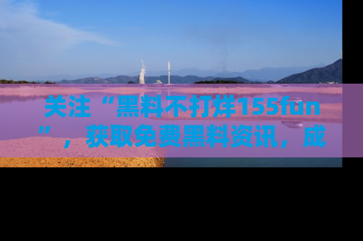 关注“黑料不打烊155fun”，获取免费黑料资讯，成为吃瓜达人不再难！