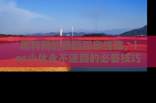 黑料网的最新回家线路,ios小伙永不迷路的必备技巧!