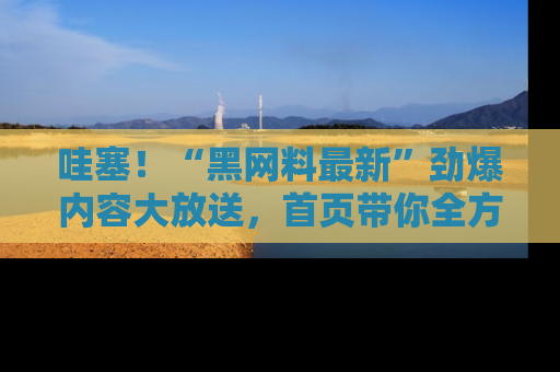 哇塞!“黑网料最新”劲爆内容大放送,首页带你全方位了解哦,小可爱们