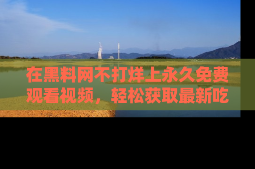 在黑料网不打烊上永久免费观看视频,轻松获取最新吃瓜资讯!