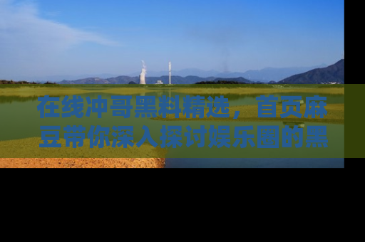在线冲哥黑料精选,首页麻豆带你深入探讨娱乐圈的黑暗面