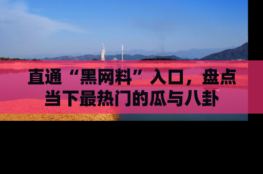 直通“黑网料”入口,盘点当下最热门的瓜与八卦