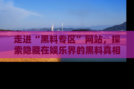 走进“黑料专区”网站,探索隐藏在娱乐界的黑料真相